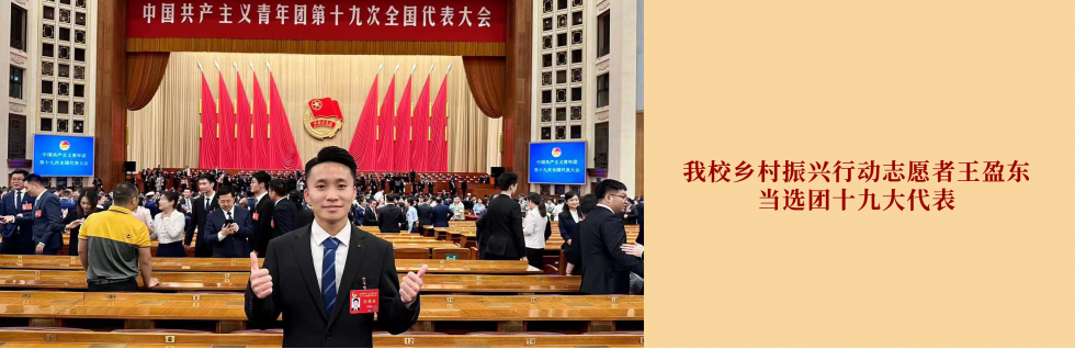 王盈东