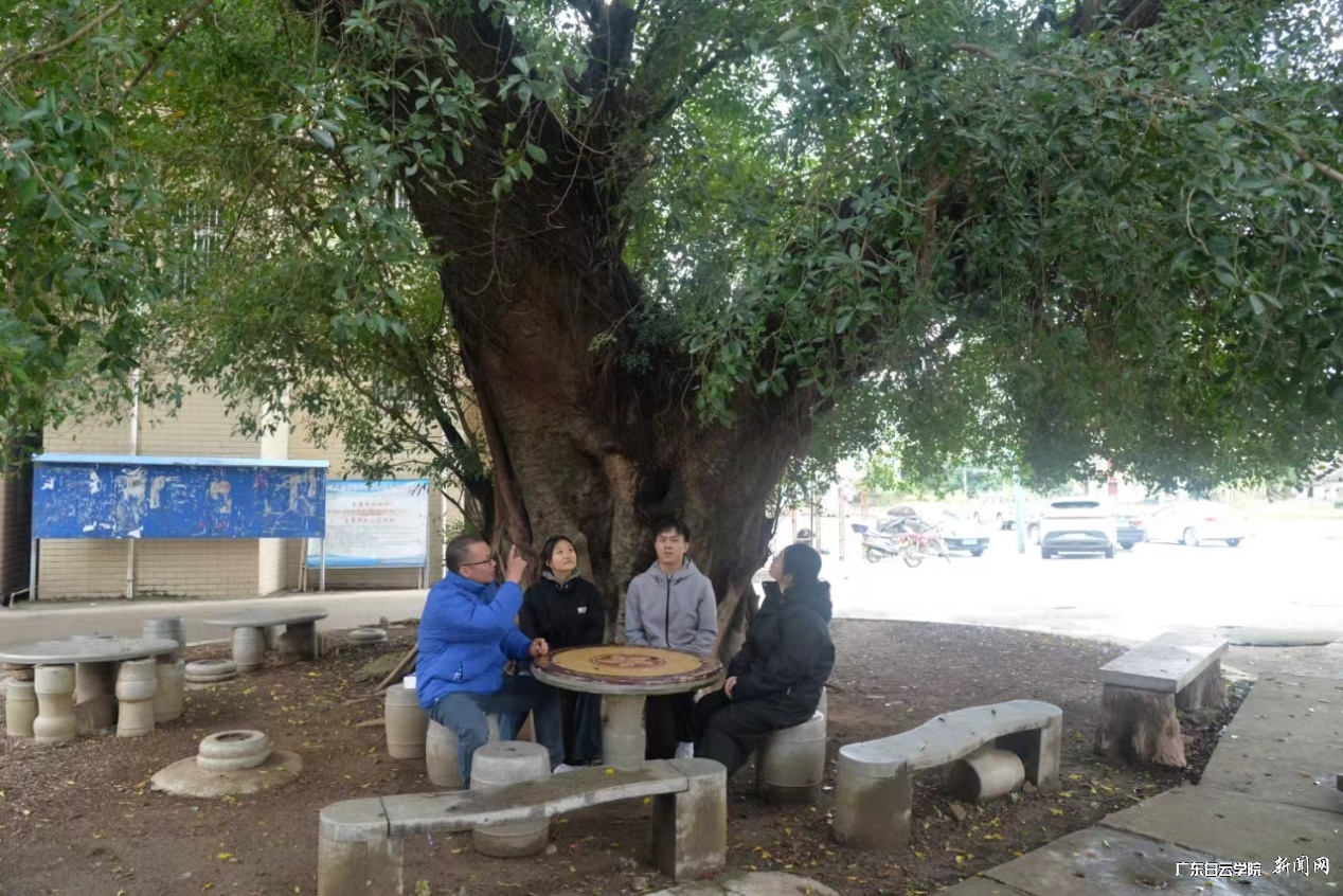 图片 5.png 图片 5.png