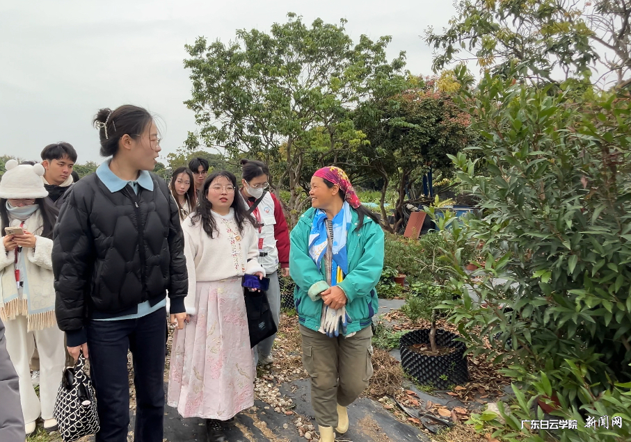 图片 5.png 图片 5.png