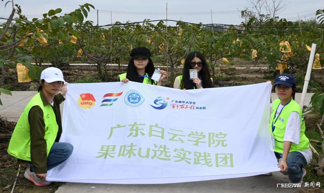 图片 3.png 图片 3.png