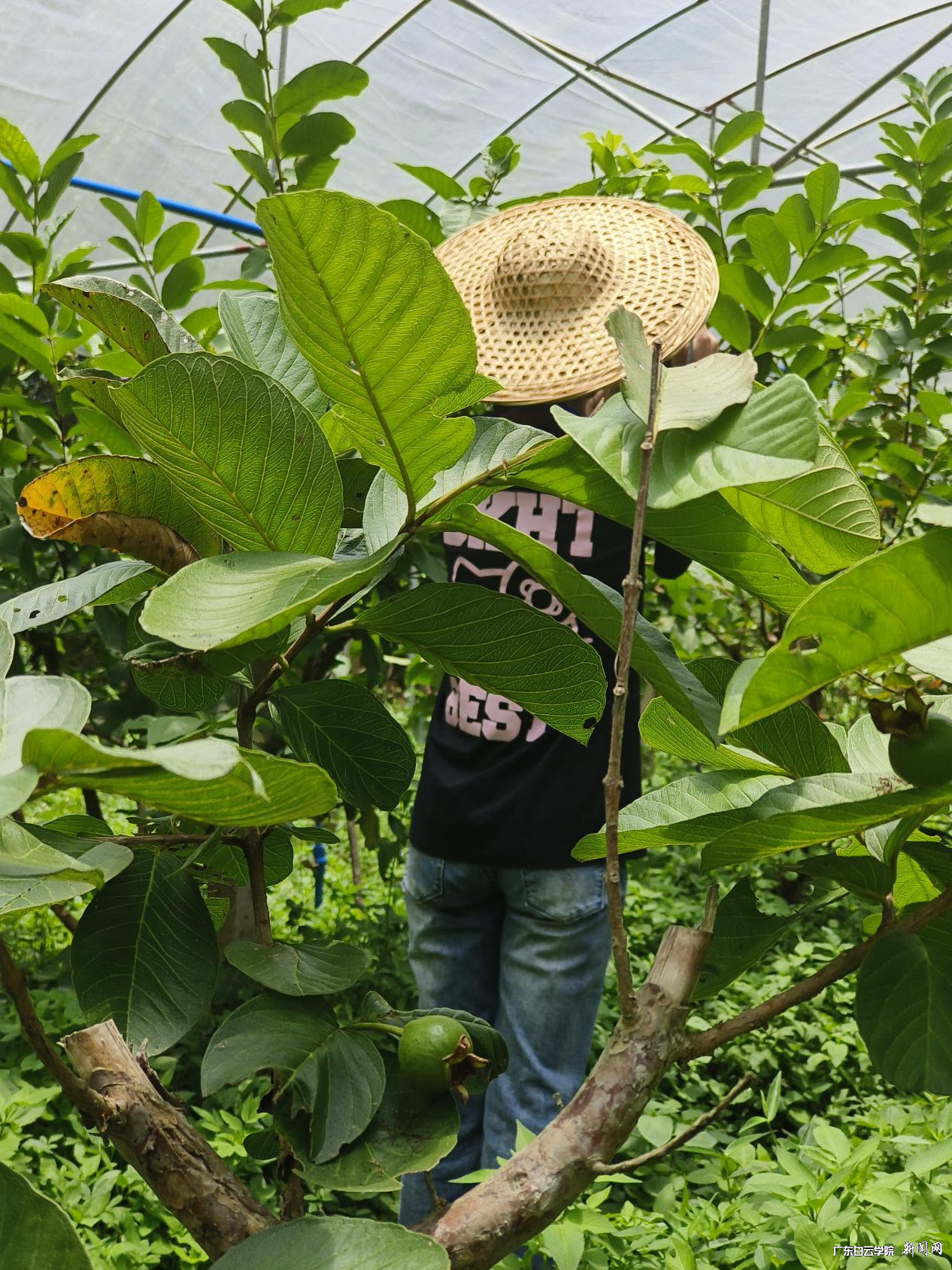 图片 3.png 图片 3.png