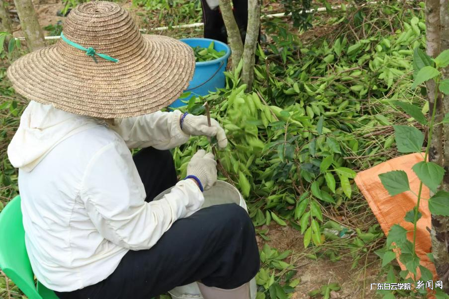 图片 3.png 图片 3.png