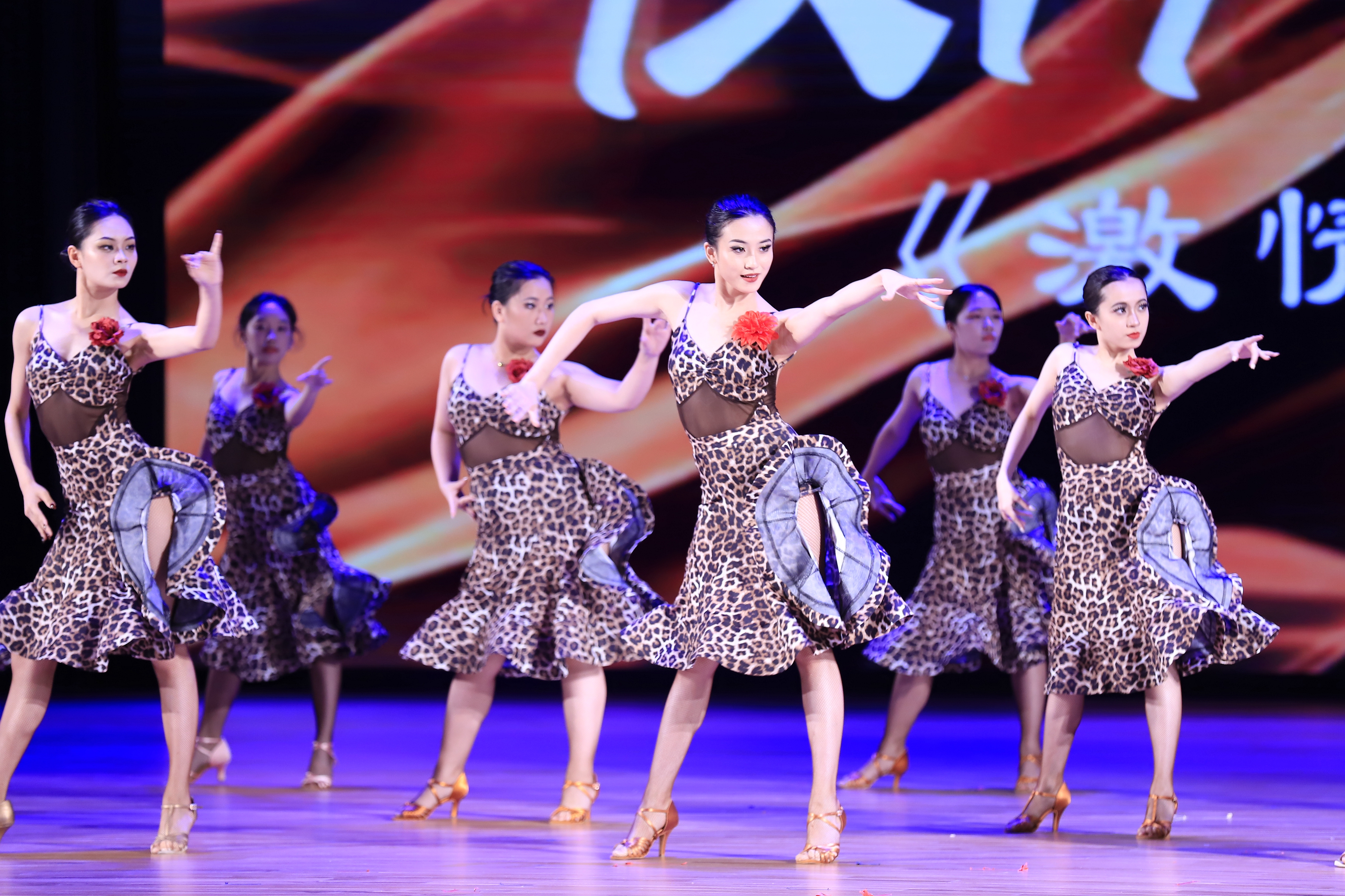 _MG_3753_副本.jpg _MG_3753_副本.jpg