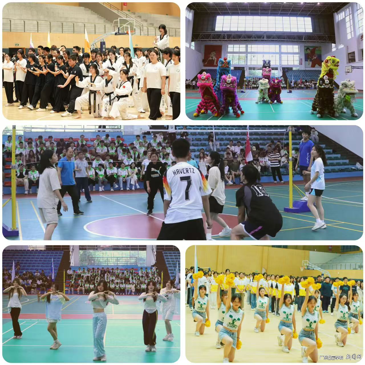 开幕式表演.jpg 开幕式表演.jpg