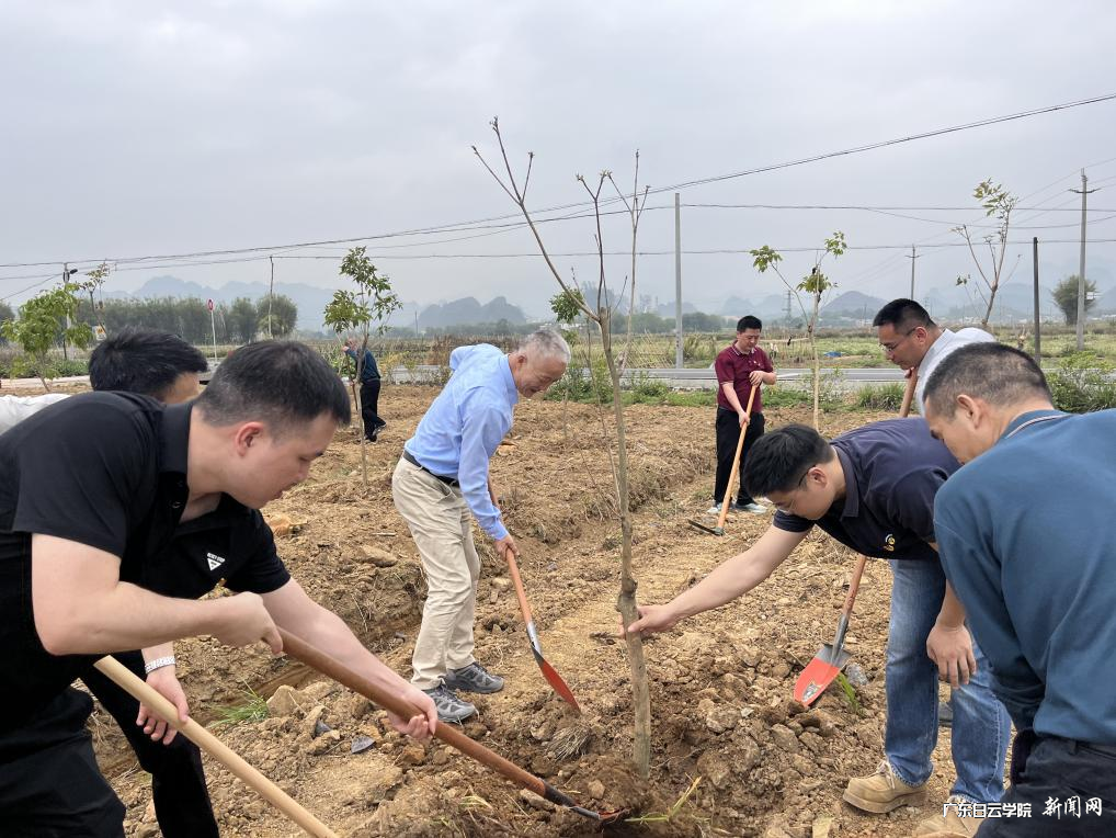 图片 3.png 图片 3.png