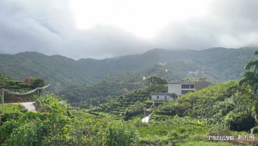 图片 8.png 图片 8.png