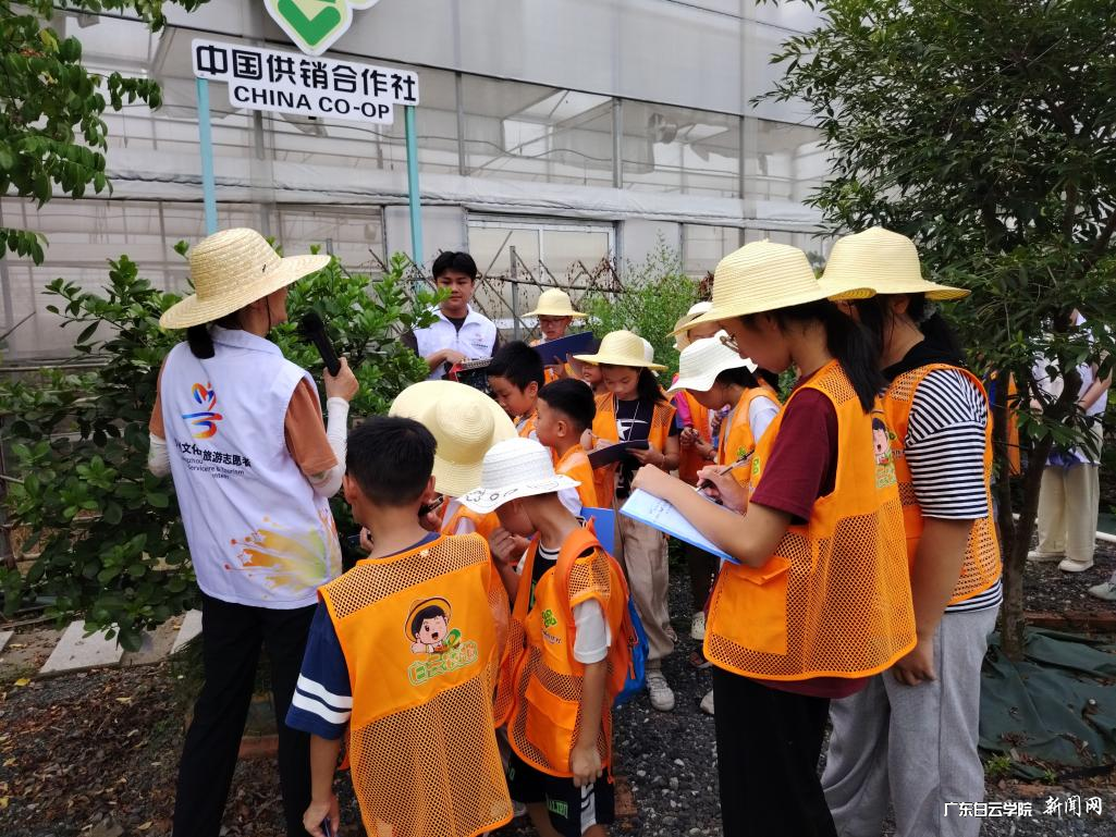 图片 4.png 图片 4.png