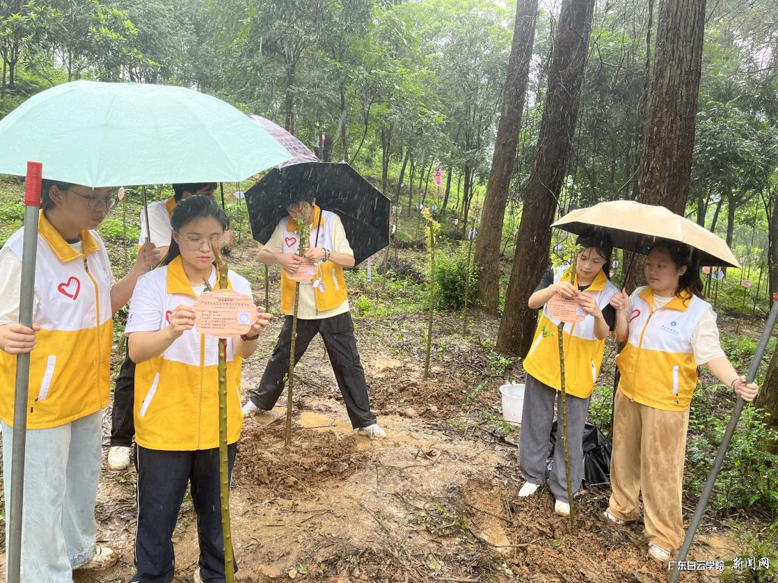 图片 4.png 图片 4.png