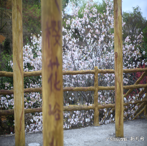 图片 4.png 图片 4.png